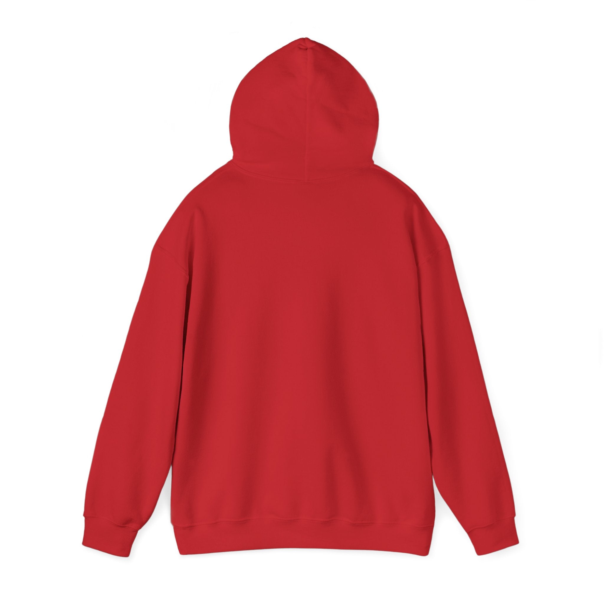 Elevate Your Style: High Standards Hoodie for the Modern Trendsetter