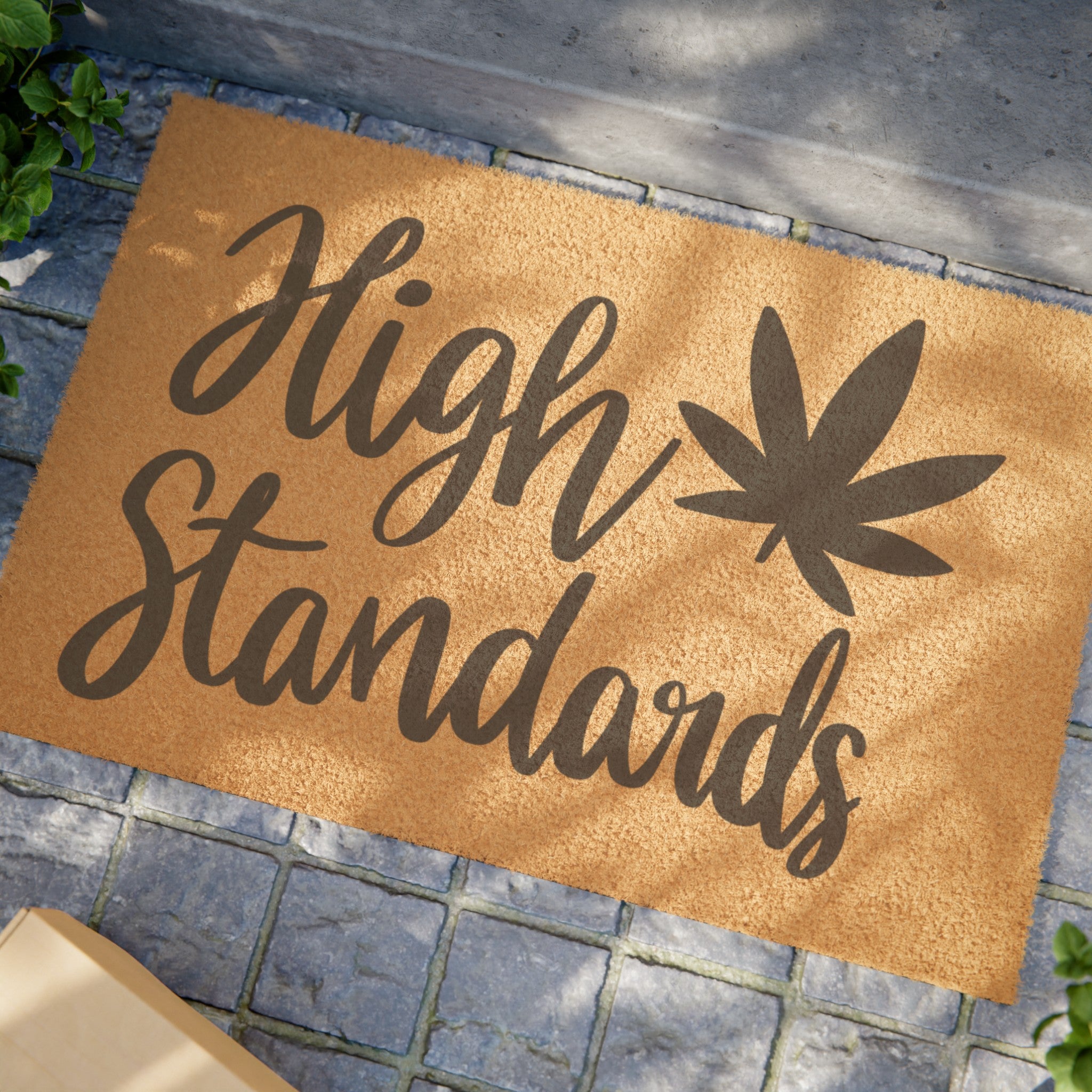 Elevate Every Entry: 'High Standards' Family-Friendly Doormat